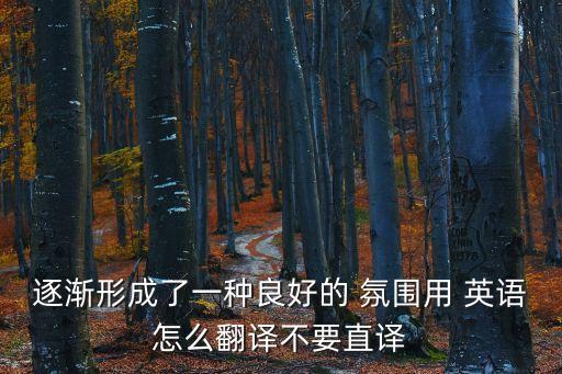 逐漸形成了一種良好的 氛圍用 英語怎么翻譯不要直譯