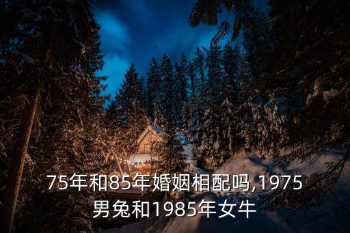 牛小姐,獅城與牛車水之間的愛(ài)情故事