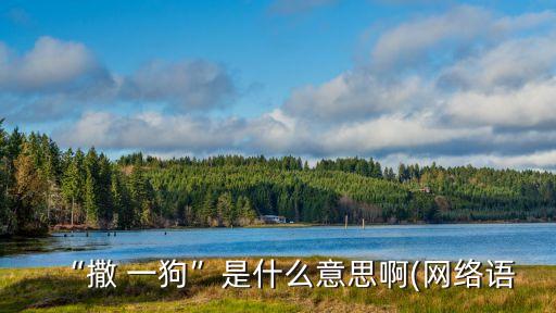 “撒 一狗”是什么意思啊(網絡語