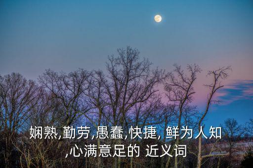 嫻熟,勤勞,愚蠢,快捷, 鮮為人知,心滿意足的 近義詞