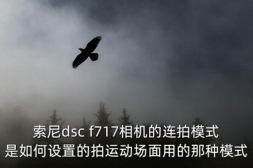 索尼dsc f717相機的連拍模式是如何設置的拍運動場面用的那種模式