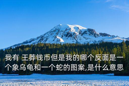 我有 王莽錢幣但是我的哪個(gè)反面是一個(gè)象烏龜和一個(gè)蛇的圖案,是什么意思...