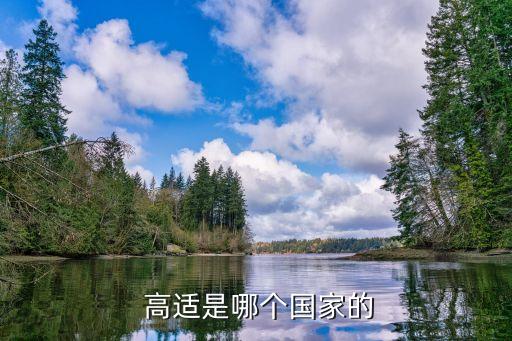 高適簡介,四大邊塞詩人高適與岑參并稱高岑