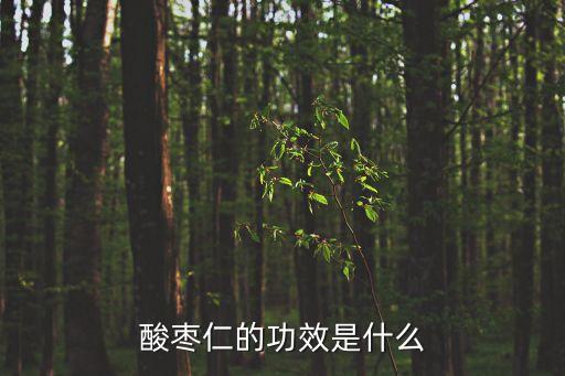 酸棗仁的功效是什么