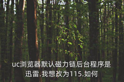 uc迅雷,手機(jī)uc瀏覽器中的迅雷插件怎么卸載?
