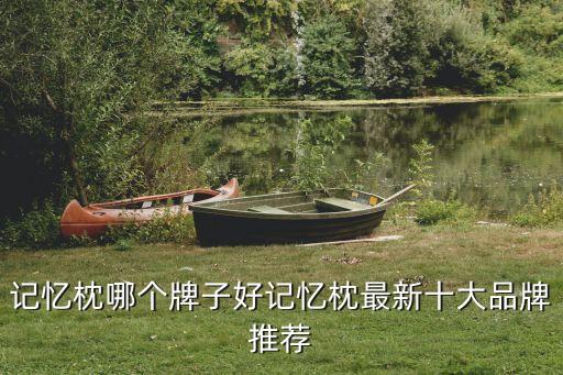 保健枕頭,如何選擇合適的枕頭?專家教您從枕芯認識枕頭