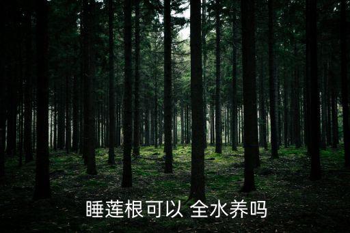 睡蓮可以全水養嗎,適合養魚的五種水上活動
