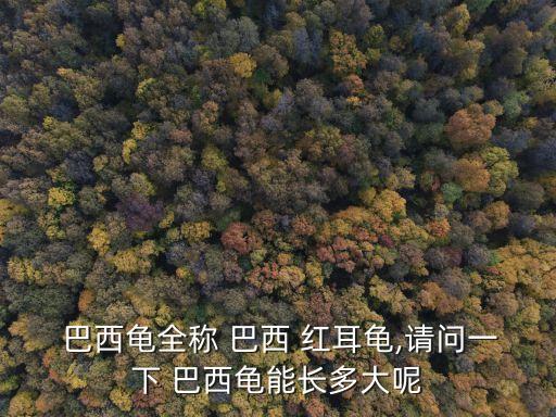 紅耳巴西龜,巴西紅耳烏龜身長橢圓形背甲輕輕凸起
