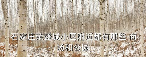 石家莊商場,北京商城和北國仁百商場位于石家莊盛港小區對面