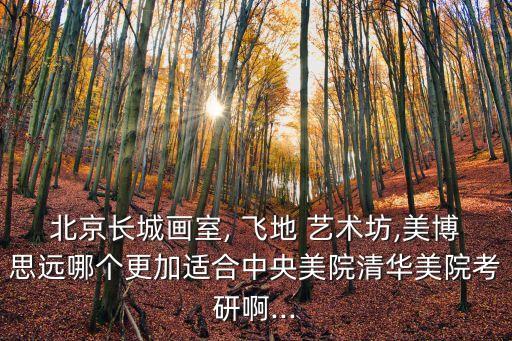 北京長城畫室, 飛地 藝術坊,美博思遠哪個更加適合中央美院清華美院考研啊...
