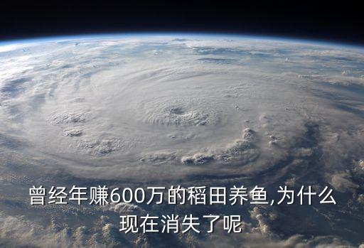 生稻花步,三月郴州賞花攻略花期 地址 交通