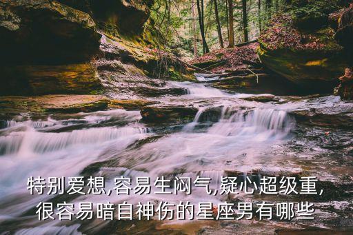 特別愛想,容易生悶氣,疑心超級重,很容易暗自神傷的星座男有哪些