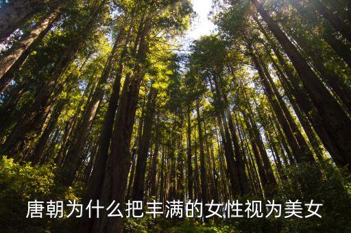 大胸美人,贊美女人的胸有哪些講法?