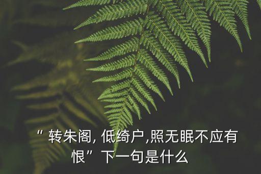 轉(zhuǎn)朱閣低綺戶,轉(zhuǎn)朱閣低綺戶照無眠是什么意思?