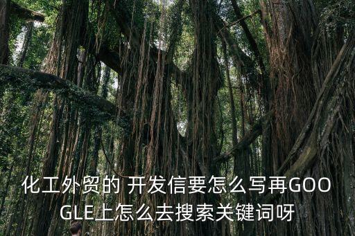 化工外貿(mào)的 開(kāi)發(fā)信要怎么寫(xiě)再GOOGLE上怎么去搜索關(guān)鍵詞呀