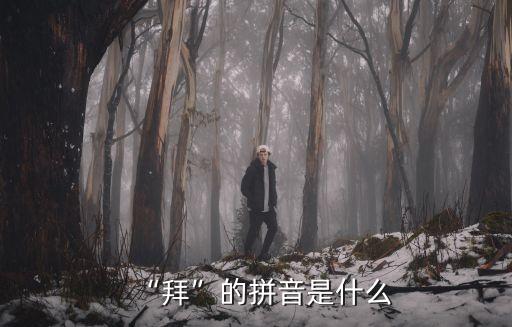 拜讀,讀書和品讀有什么不同?