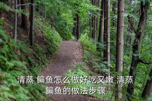  清蒸 鳊魚怎么做好吃又嫩 清蒸 鳊魚的做法步驟