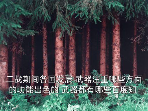 二戰期間各國發展 武器注重哪些方面的功能出色的 武器都有哪些百度知...