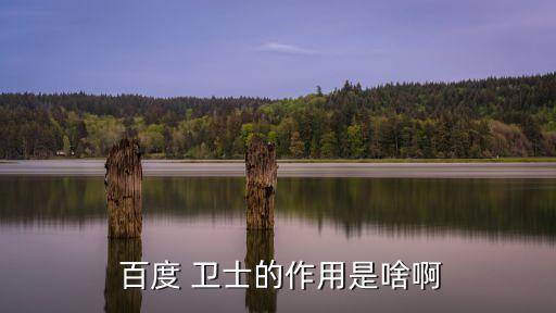  百度 衛士的作用是啥啊