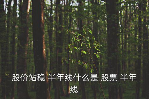 股價站穩 半年線什么是 股票 半年線