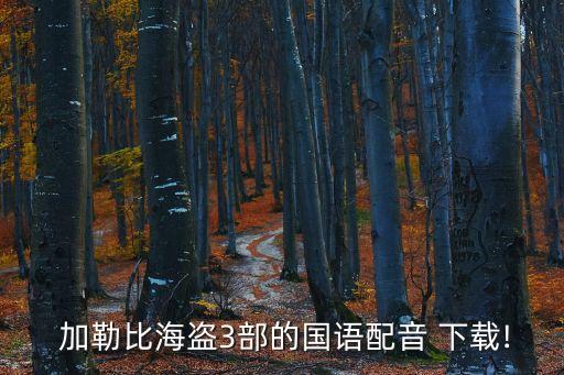加勒比海盜3下載,加勒比海盜3高清在線觀看下載地址