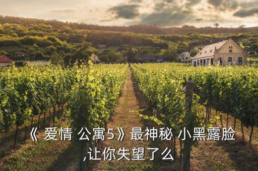 愛情公寓小黑,《愛情公寓5》最神秘小黑露臉扮演者是誰?
