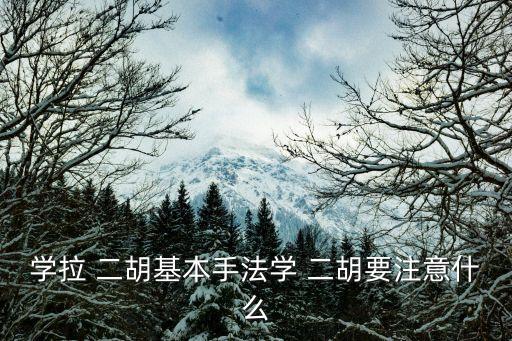 學(xué)拉 二胡基本手法學(xué) 二胡要注意什么