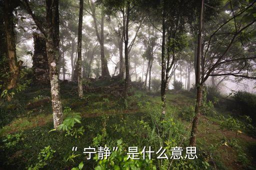 寧靜造句,冷靜造句:他們過著幸福安靜的日子