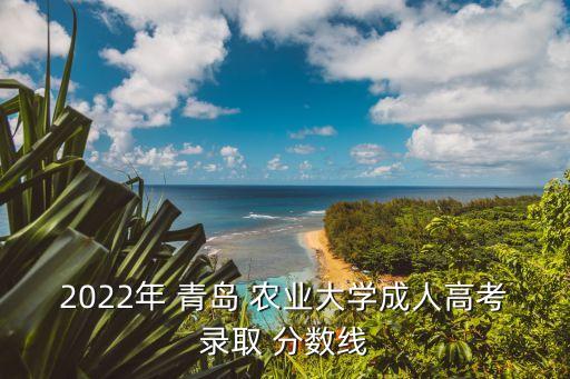 2022年 青島 農(nóng)業(yè)大學(xué)成人高考錄取 分?jǐn)?shù)線