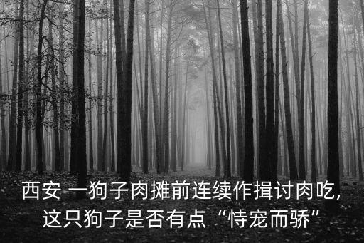 一狗,一人一狗一世界經典短語:可以不生娃!