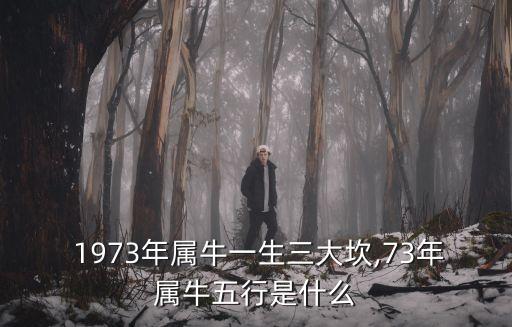  1973年屬牛一生三大坎,73年屬牛五行是什么