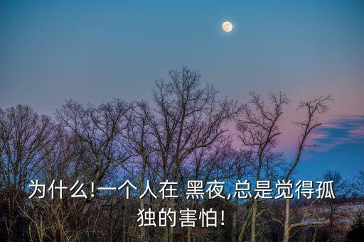 黑夜不寂寞,夜晚孤獨傷感句子