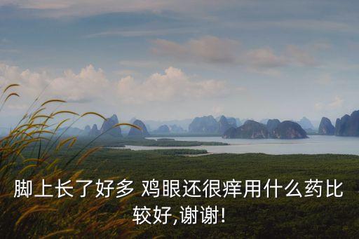 腳上長了好多 雞眼還很癢用什么藥比較好,謝謝!