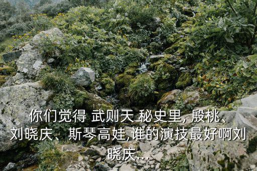 武則天秘史殷桃,武媚娘秘史之劉曉慶、殷桃主演電視劇