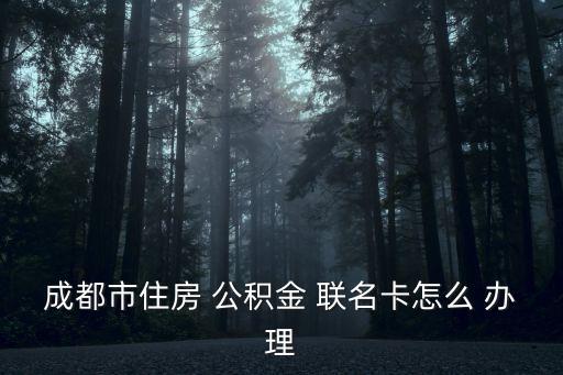 公積金聯名卡怎么辦理