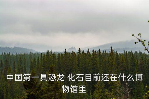 中國第一具恐龍 化石目前還在什么博物館里
