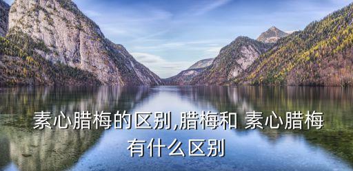  素心臘梅的區別,臘梅和 素心臘梅有什么區別