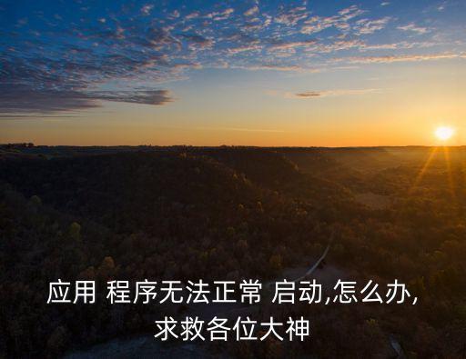 應用 程序無法正常 啟動,怎么辦,求救各位大神