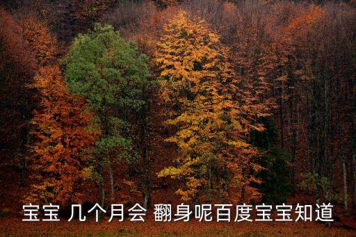 寶寶 幾個月會 翻身呢百度寶寶知道