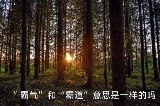 “ 霸氣”和“霸道”意思是一樣的嗎