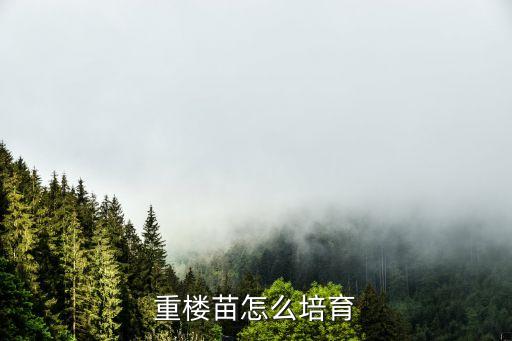 重樓種子育苗技術，怎樣種植重樓重樓種子育苗技術要點