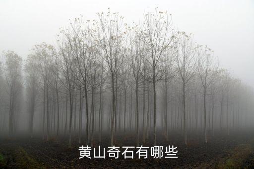 黃山怪石,安徽黃山有哪些奇石?