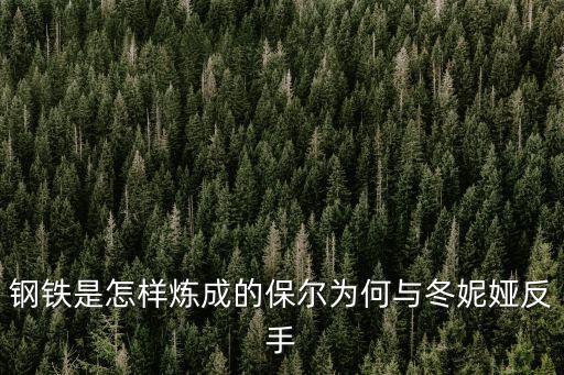 保爾和冬妮婭，冬妮婭與保爾的關系