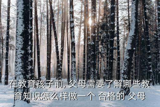 合格父母,我國父母在教育孩子方面嚴重缺失應引導孩子解決問題
