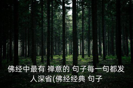 禪意句子,春天禪意的句子有哪些?