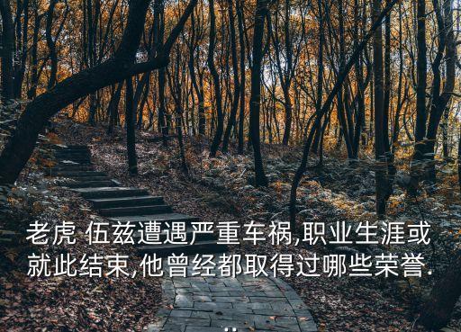 老虎 伍茲遭遇嚴重車禍,職業生涯或就此結束,他曾經都取得過哪些榮譽...