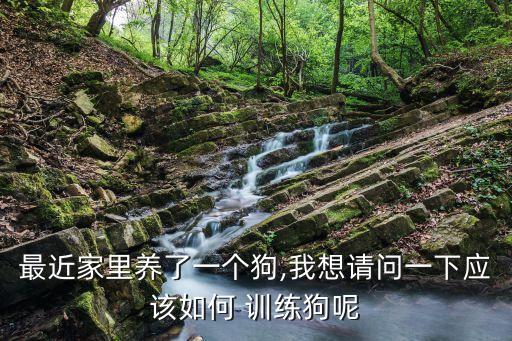 最近家里養(yǎng)了一個狗,我想請問一下應該如何 訓練狗呢