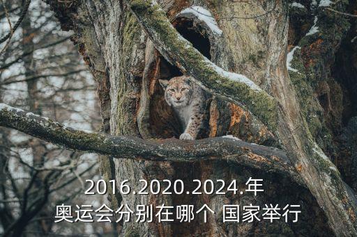 2016.2020.2024.年 奧運會分別在哪個 國家舉行
