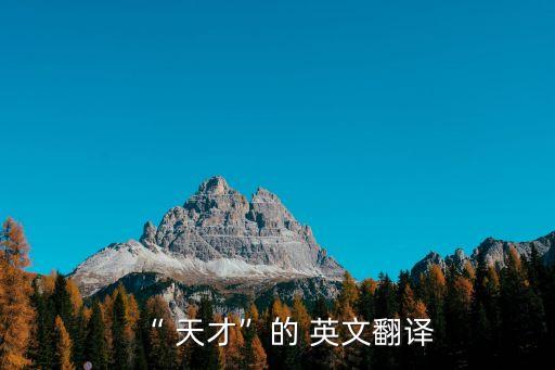 “ 天才”的 英文翻譯
