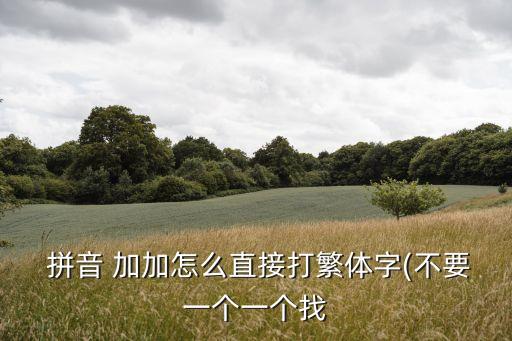  拼音 加加怎么直接打繁體字(不要一個(gè)一個(gè)找